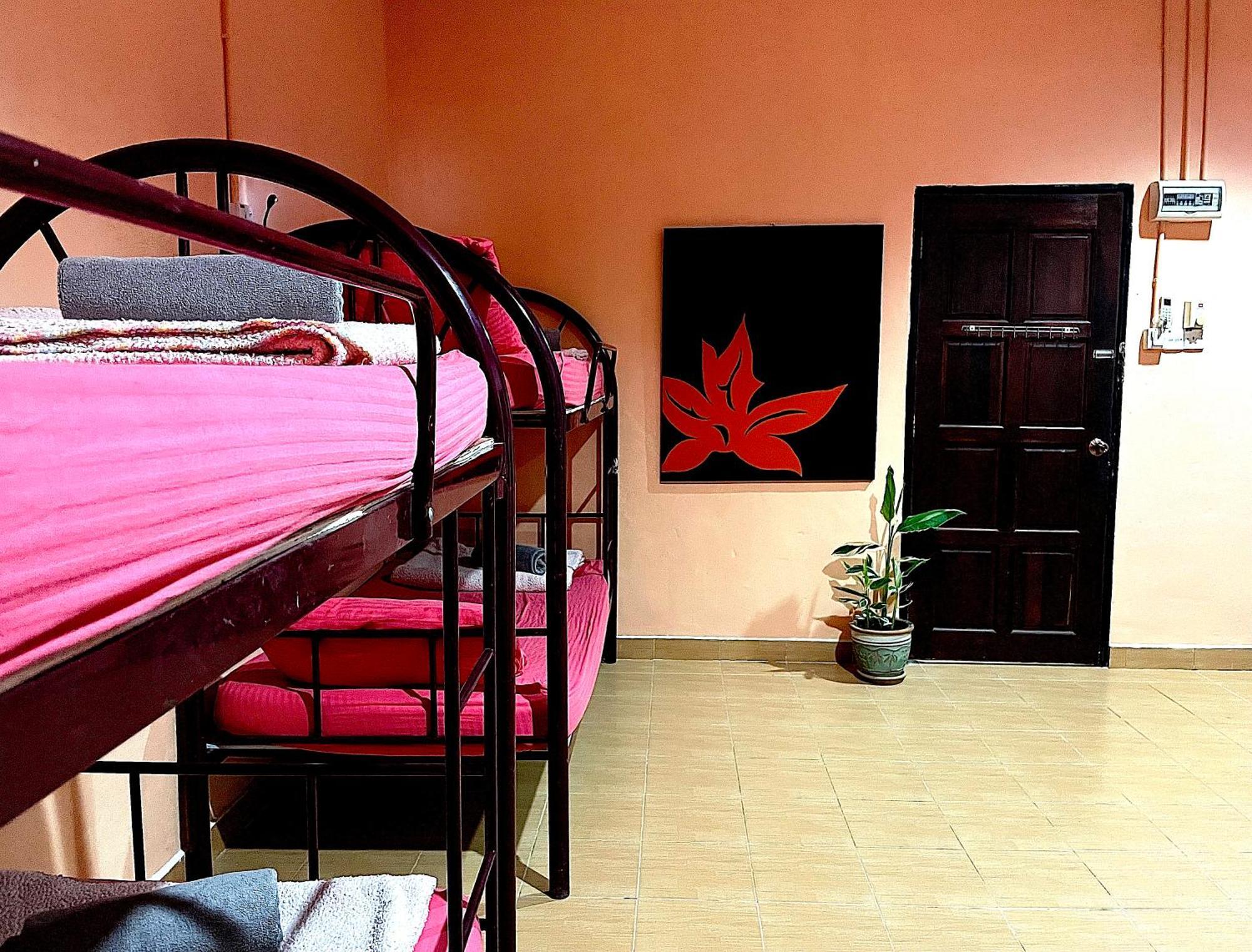 Home Sol Guesthouse Pantai Cenang  Exterior photo